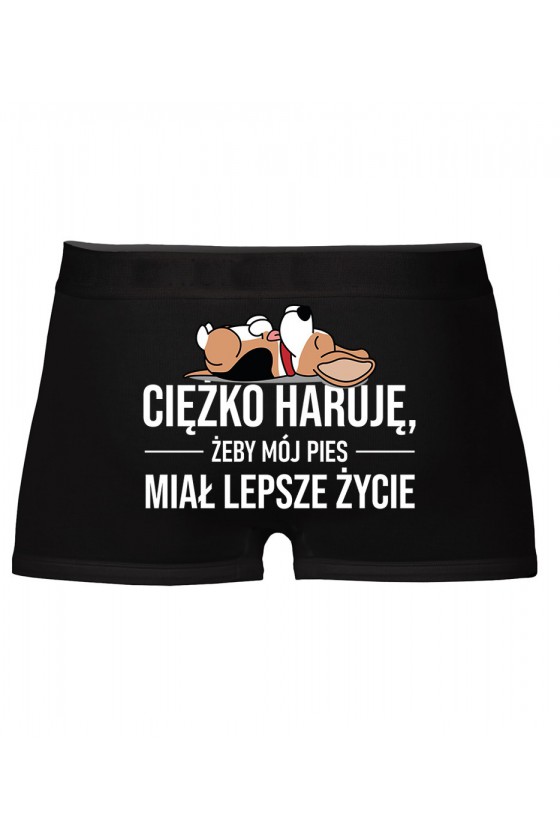 Bokserki Ciężko Haruję Żeby Mój Pies Miał Lepsze Życie