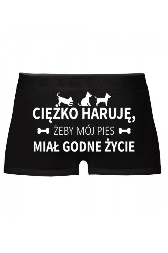 Bokserki Ciężko Haruję Żeby Mój Pies Miał Godne Życie