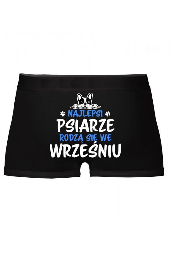 Bokserki Najlepsi Psiarze Rodzą Się We Wrześniu