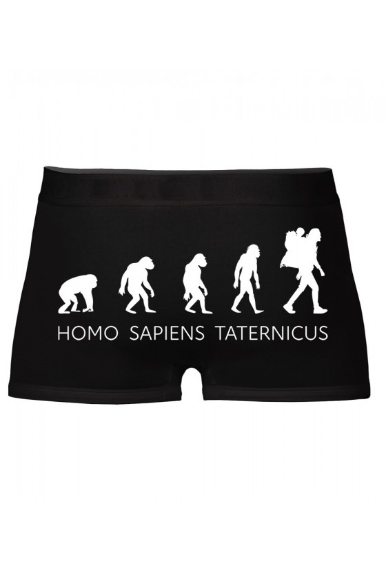 Bokserki Homo Sapiens Taternicus