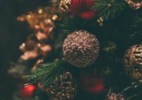 Co podarować bliskim? Postaw na świąteczne koszulki z charakterem